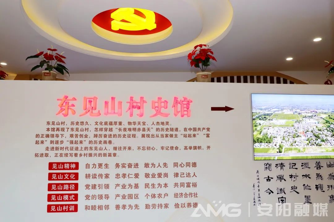 圖片8